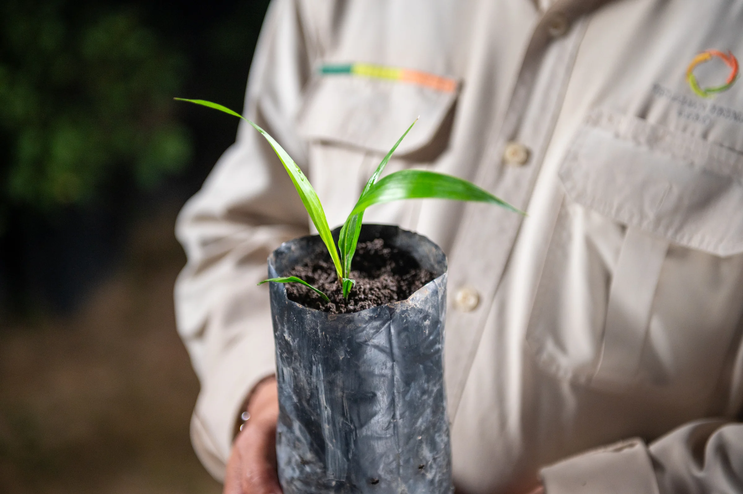 TPA employee holding a young plant
